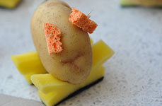 Kartoffelnasen